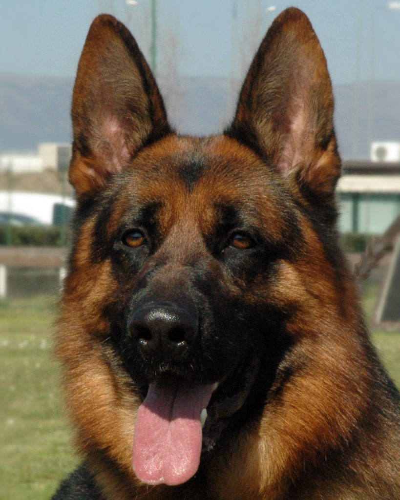 Odin